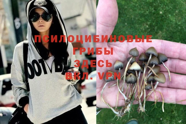 альфа пвп Бородино