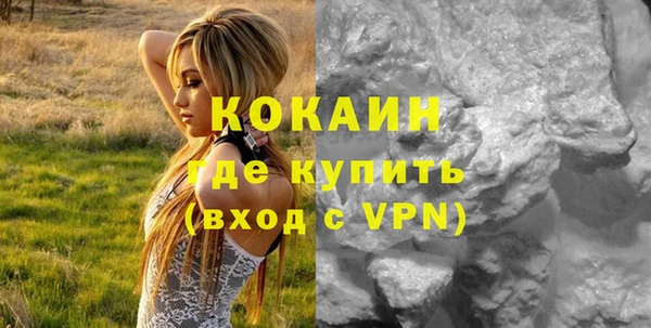 шишки Верхний Тагил