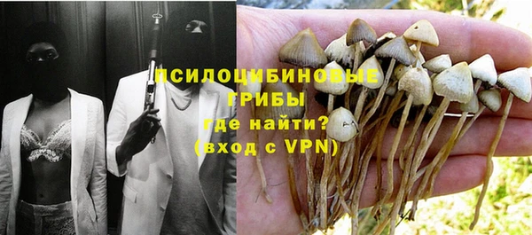 соль ск Бронницы