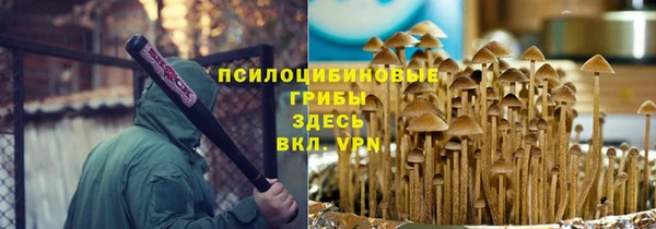 соль ск Бронницы