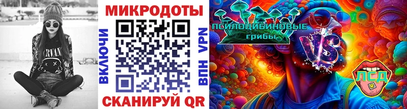 закладки Вяземский Псилоцибиновые грибы GOLDEN TEACHER